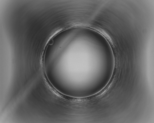 X0000116890806200912221452