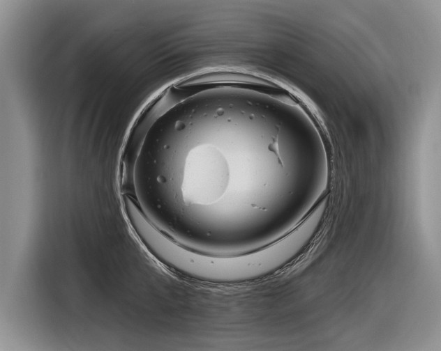 X0000116890807200912221452