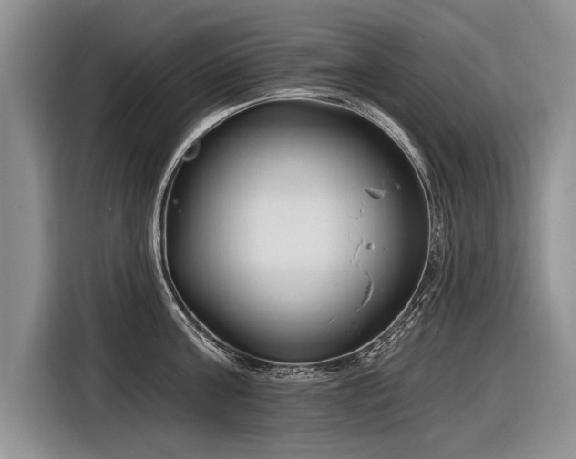 X0000116890811200912221452