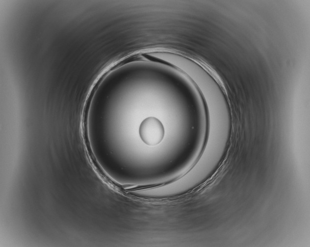 X0000116890813200912221452