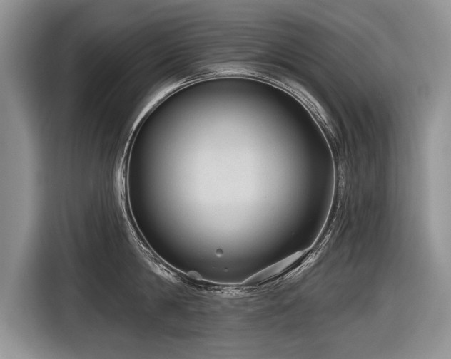 X0000116890814200912221452
