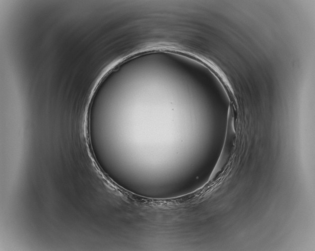 X0000116890815200912221452