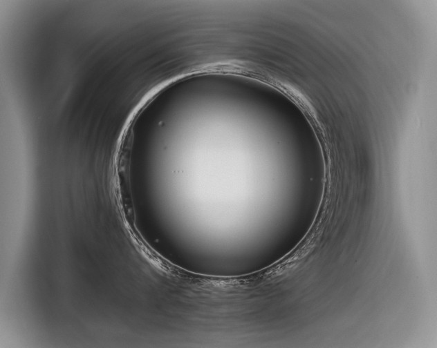 X0000116890816200912221452