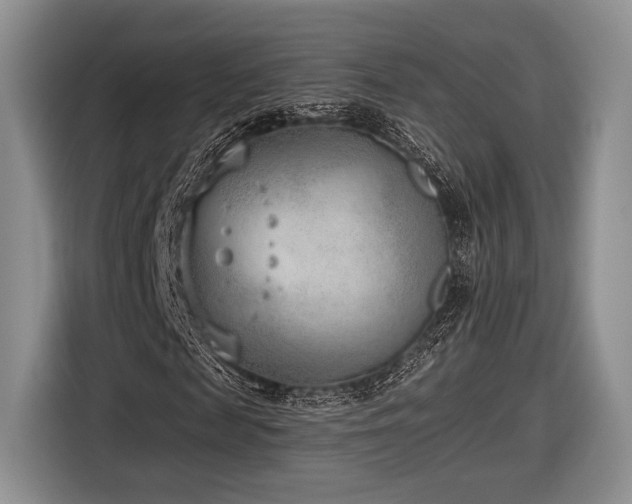 X0000116890817200912221451