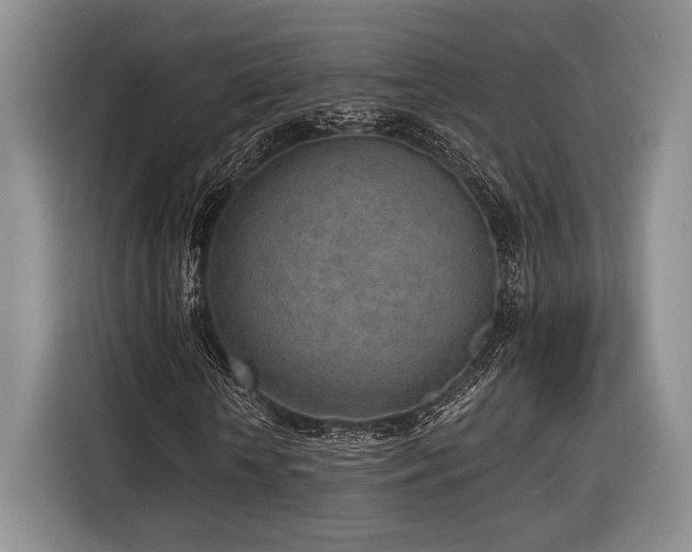 X0000116890818200912221451