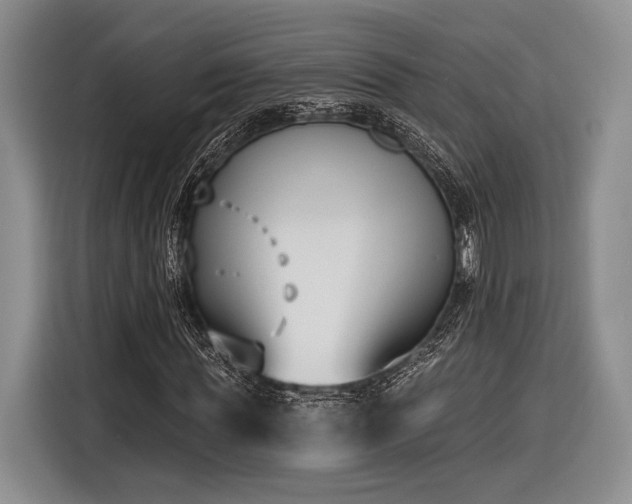 X0000116890819200912221451