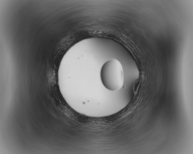X0000116890820200912221451