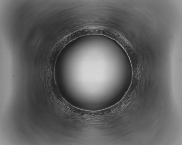 X0000116890821200912221451