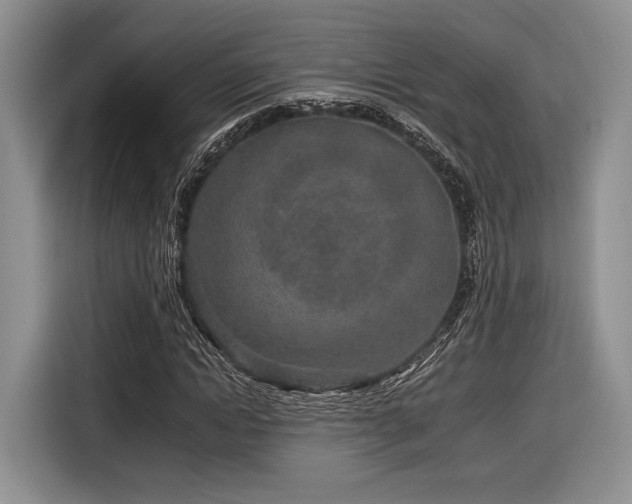 X0000116890822200912221451