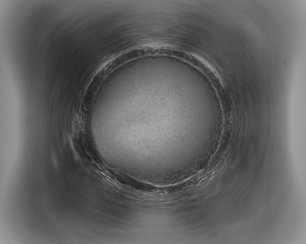 X0000116890823200912221451