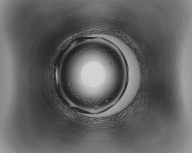 X0000116890824200912221451