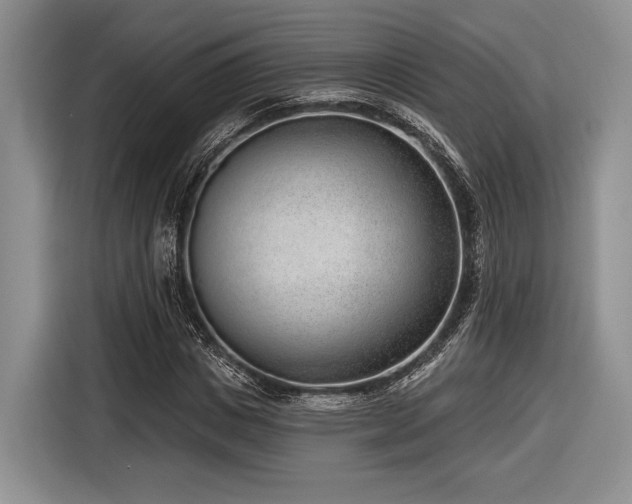 X0000116890825200912221451