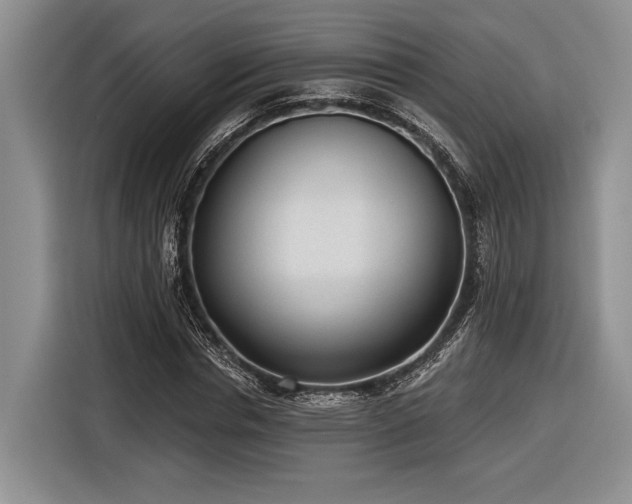 X0000116890826200912221451