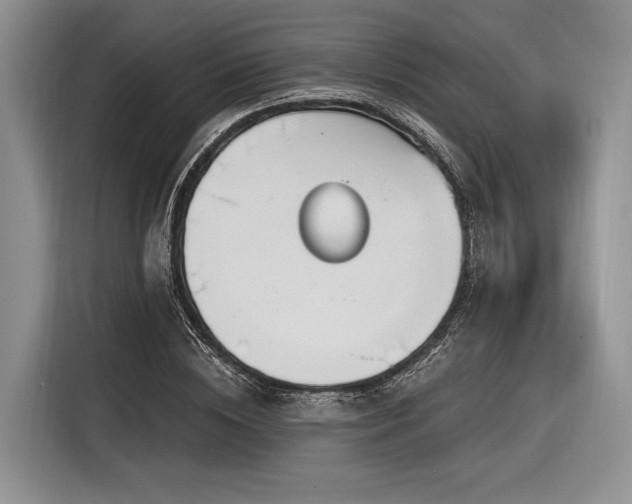 X0000116890828200912221451