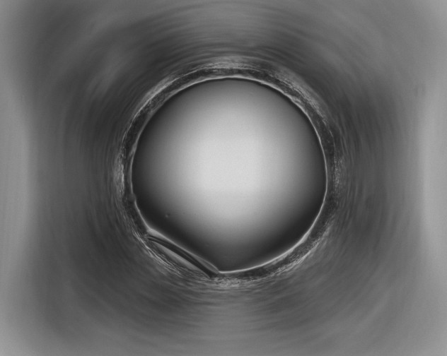 X0000116890829200912221451