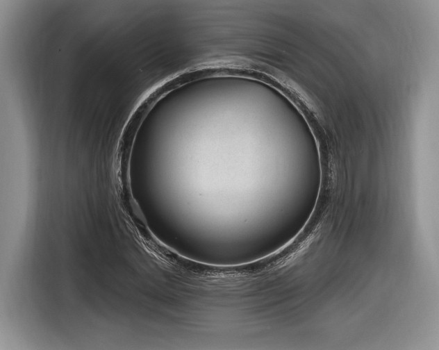 X0000116890830200912221451