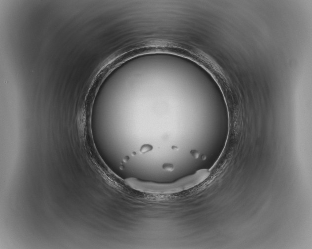 X0000116890831200912221452