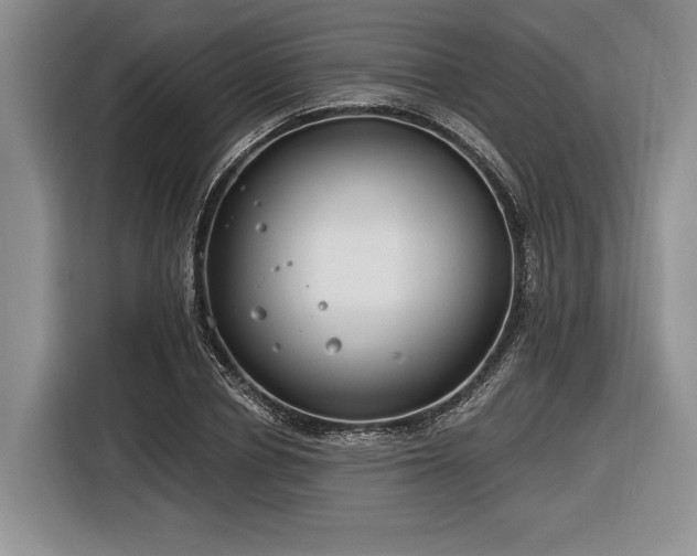 X0000116890834200912221452