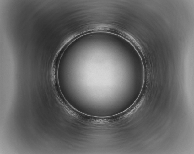 X0000116890835200912221452