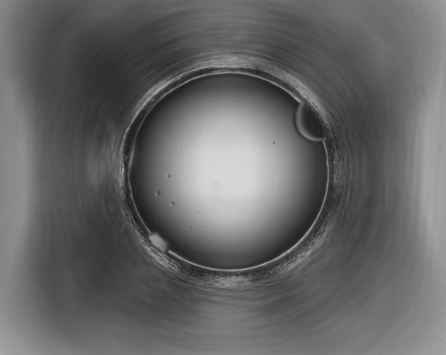 X0000116890837200912221452