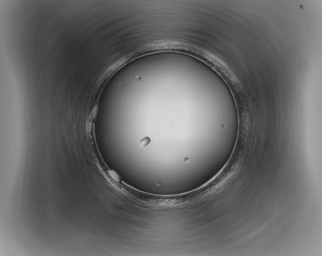 X0000116890841200912221452