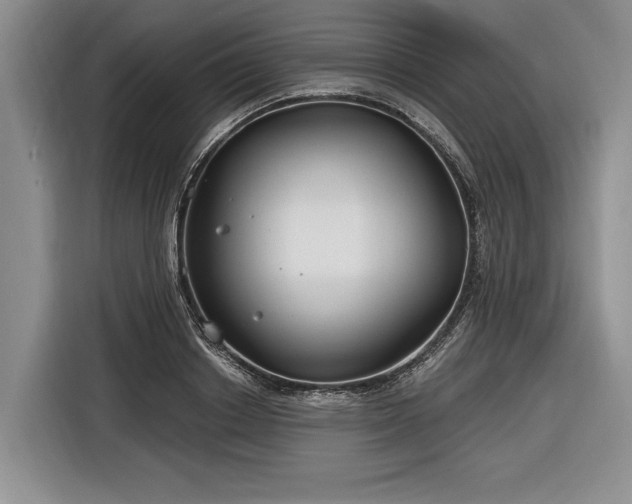 X0000116890842200912221452