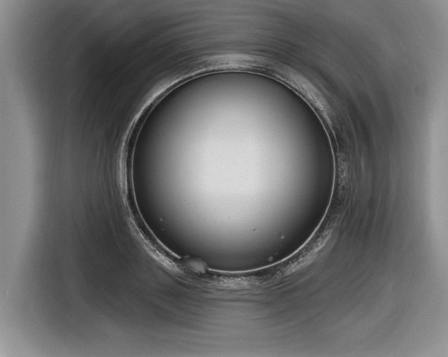 X0000116890843200912221452