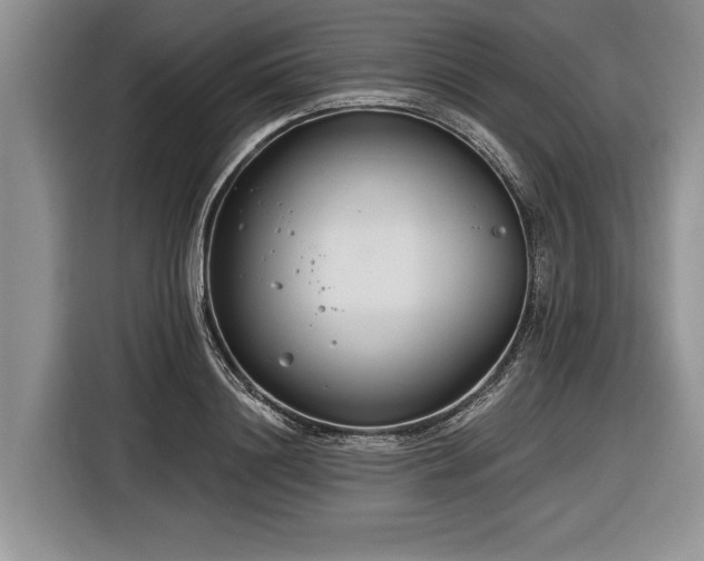 X0000116890844200912221452