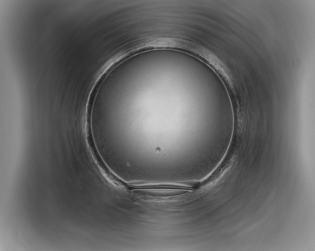 X0000116890845200912221452