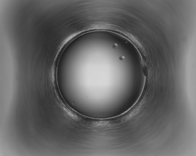 X0000116890846200912221452