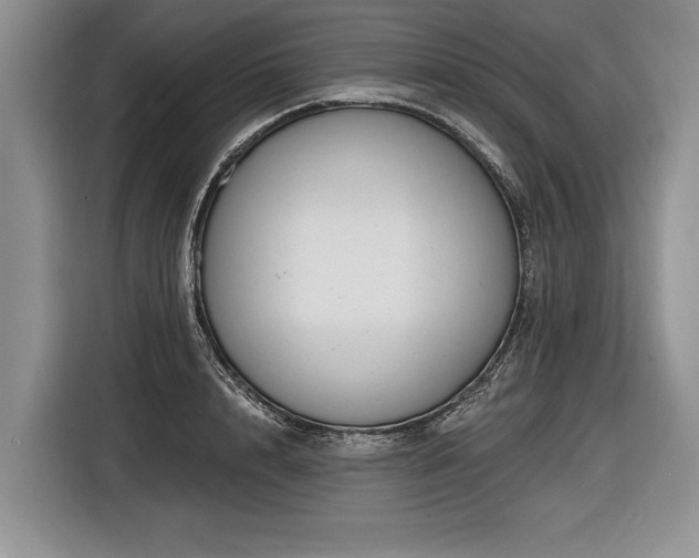 X0000116890848200912221452