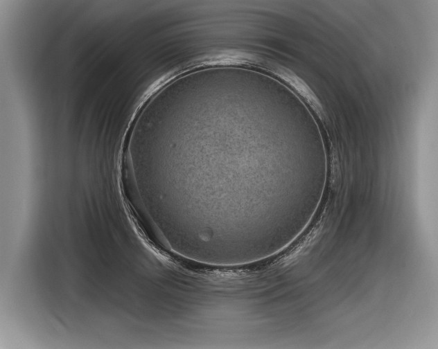 X0000116890850200912221452