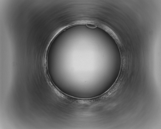 X0000116890852200912221452