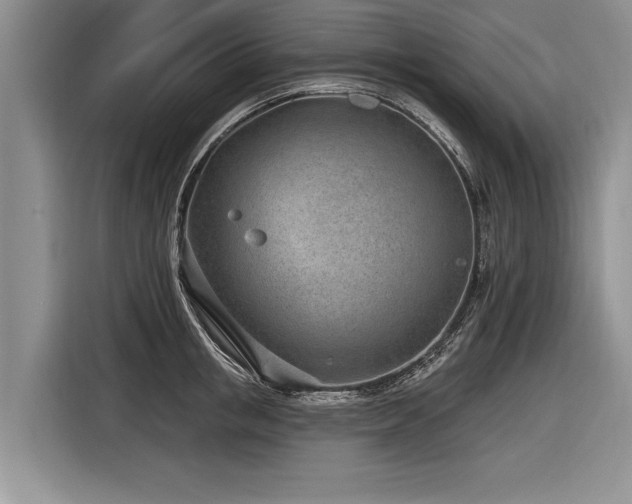 X0000116890853200912221452