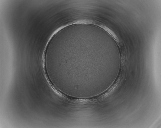 X0000116890854200912221452