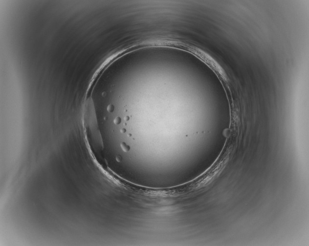 X0000116890855200912221452