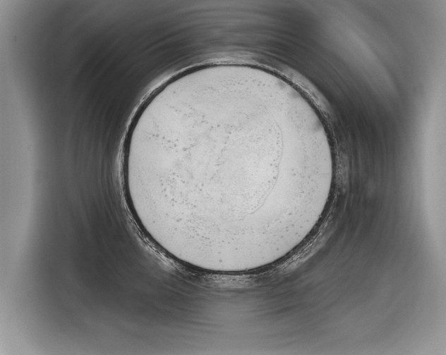 X0000116890856200912221452