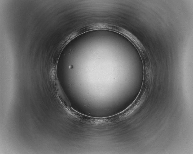 X0000116890857200912221452