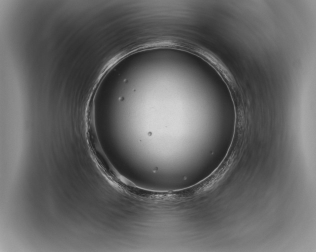 X0000116890858200912221452