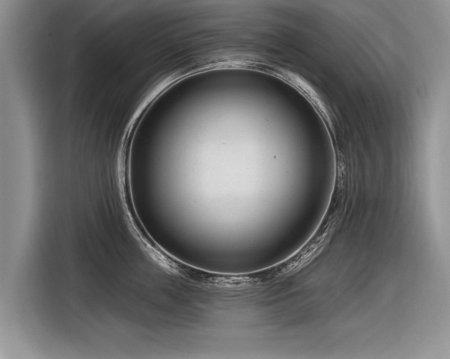 X0000116890859200912221452