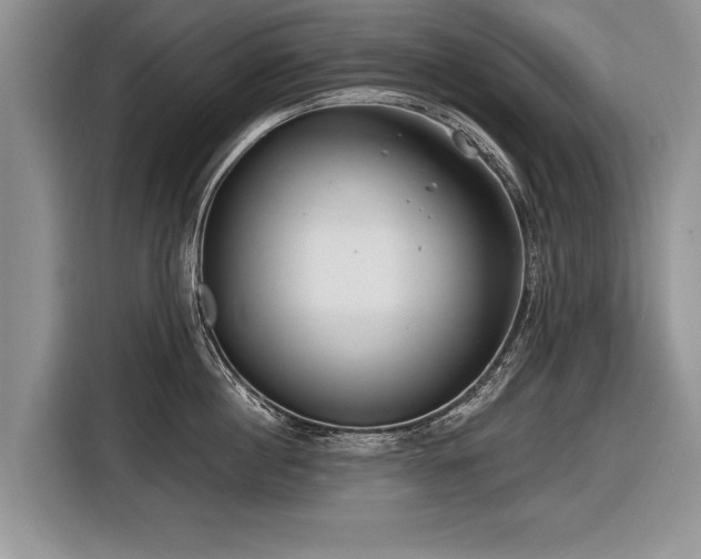 X0000116890860200912221452