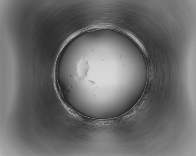 X0000116890861200912221452