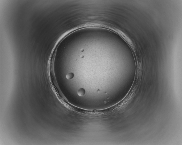 X0000116890862200912221452