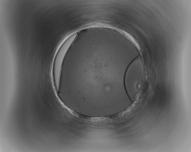 X0000116890863200912221452