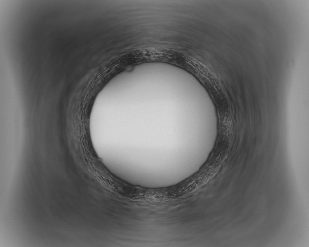 X0000116890865200912221451