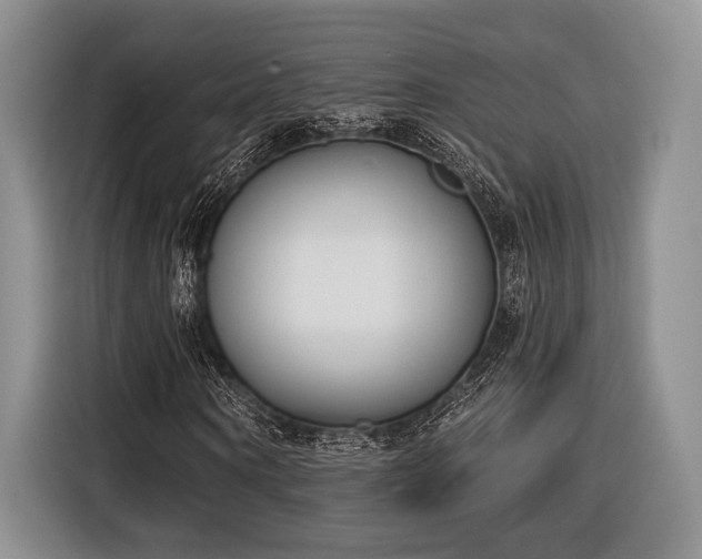 X0000116890866200912221451