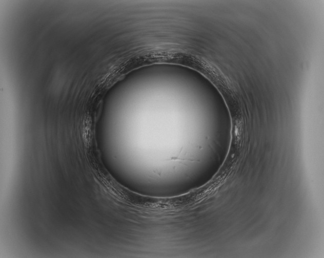 X0000116890867200912221451