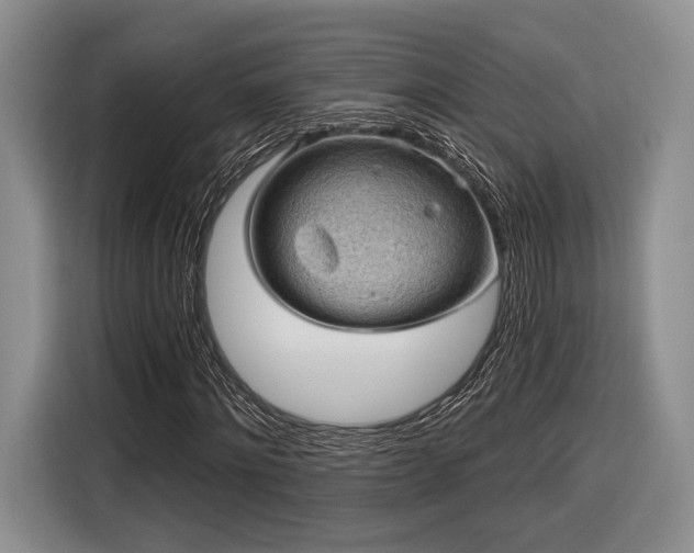 X0000116890868200912221451