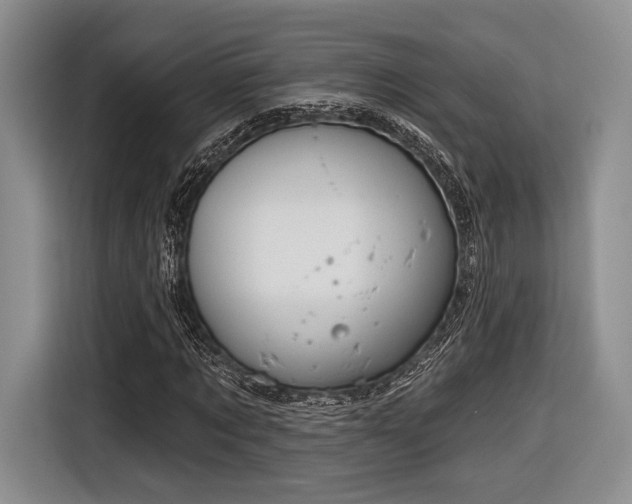 X0000116890869200912221451
