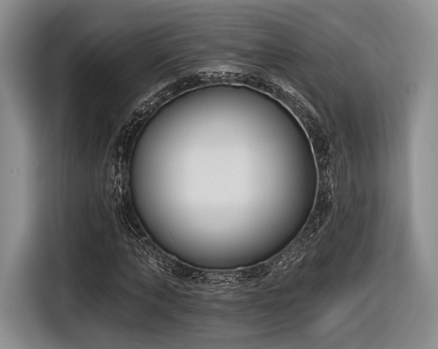 X0000116890870200912221451